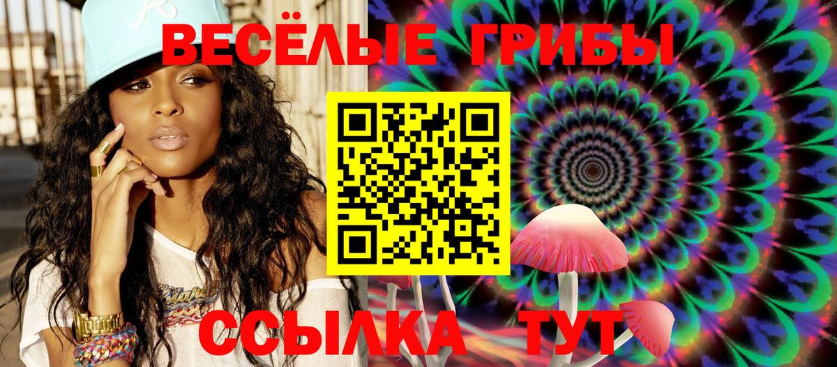 Псилоцибиновые грибы Psilocybine cubensis Дзержинский
